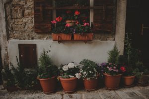 rovinj istria wedding